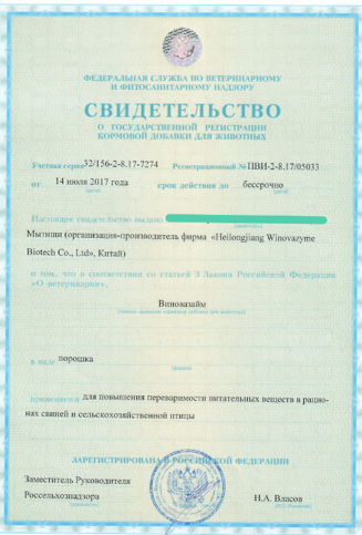 Person walking across a bridge