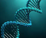 New product innovation